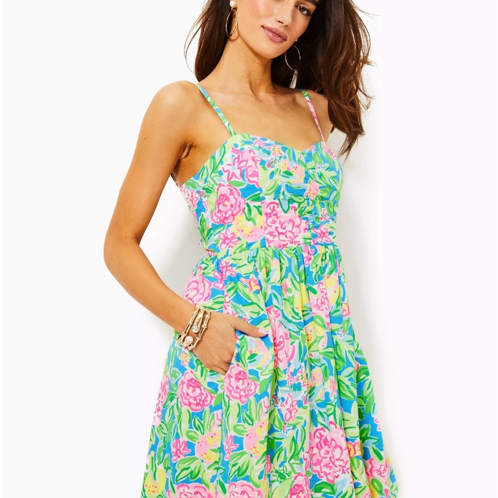 Lilly Pulitzer Ilana Sundress in multi grove garden

Sz. 14